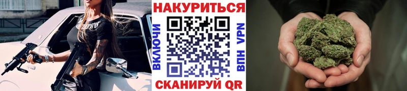 Бошки Шишки план  Сольцы 